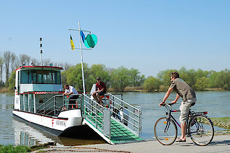 Radfahren auf dem Donauradweg im Passauer Land